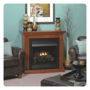 Empire Ventfree Fireplaces Gas Fireplace Insert and Vent-Free Freestanding Stove